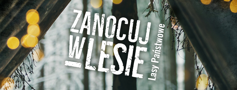 Program Zanocuj w Lesie