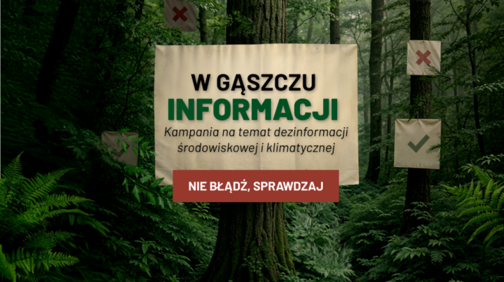 Grafika kampanii: "W gąszczu informacji"
